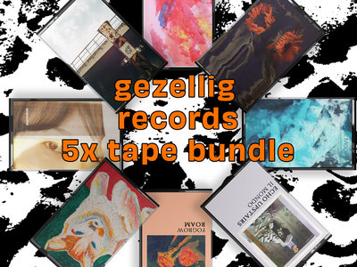 Gezellig Records Mystery Tape Bundle of 5